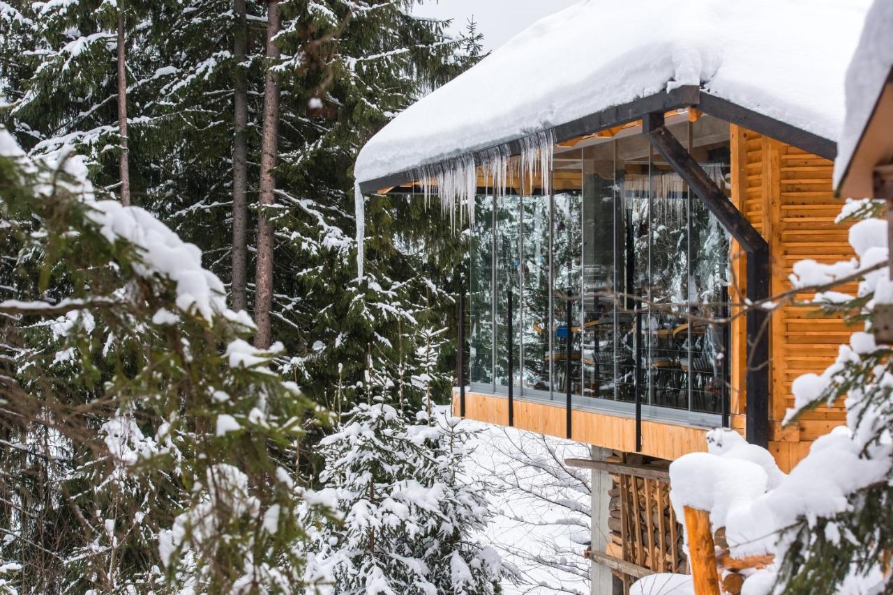 Stara Pravda Villas Bukovel Bagian luar foto
